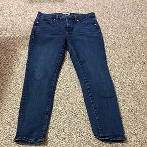 Classic Blue Women's Jeans Loft